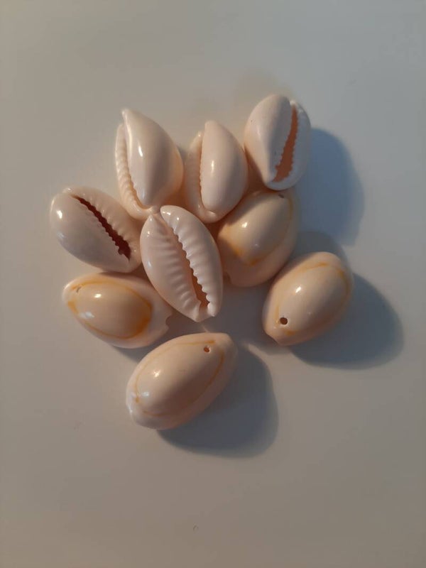 Kauri schelpjes dicht