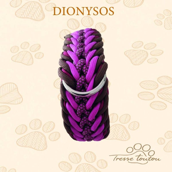 DIONYSOS