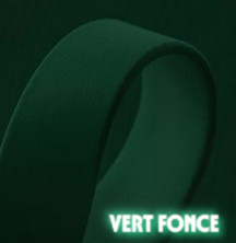 vert-fonce-standard.png