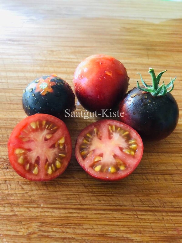 Tomate Blue Suede Shoes