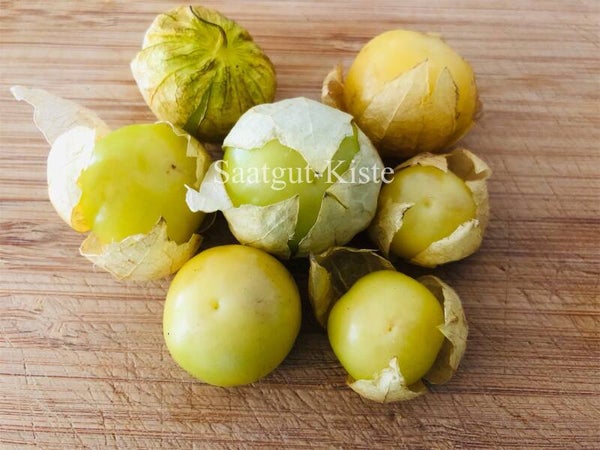 Tomatillo Amarylla