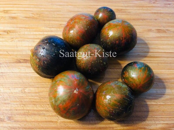 Tomate Cosmic Eclipse