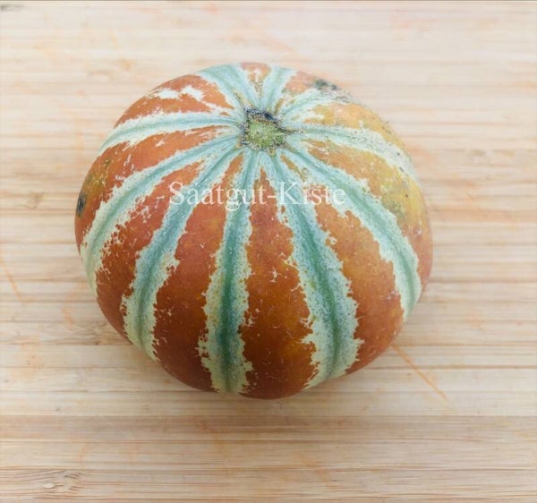 Honigmelone Kajari