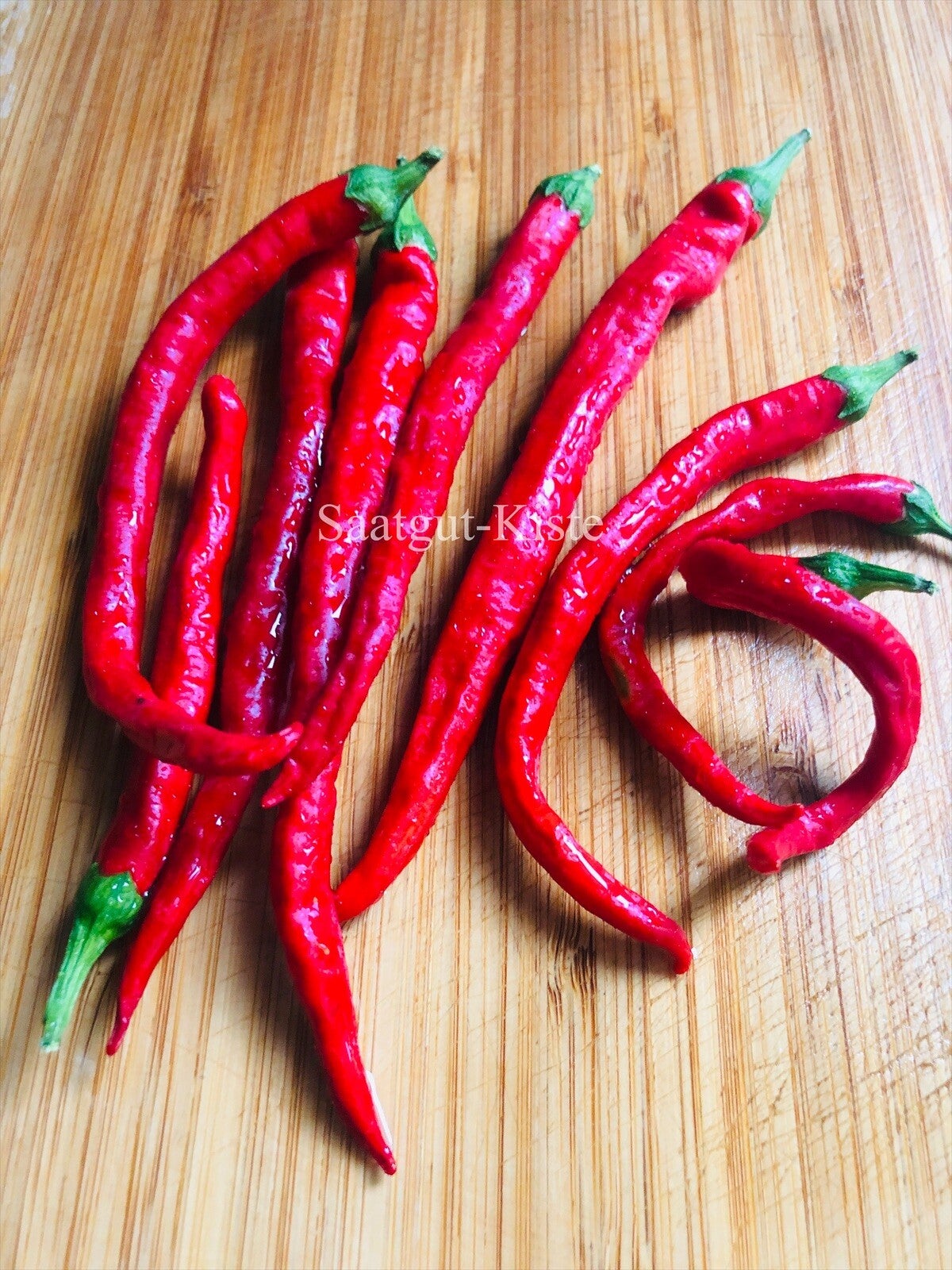 Chili Jaranda (Schärfe 3)