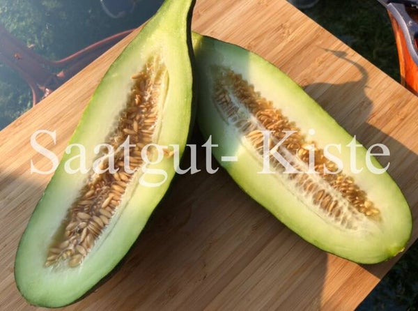 Gurkenmelone Spurreda Leccese Verde