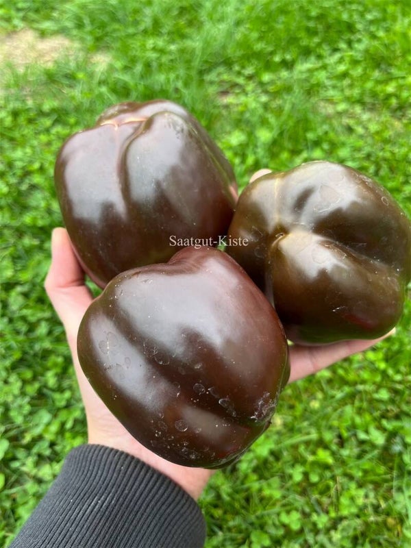 Paprika Chocolate Magic