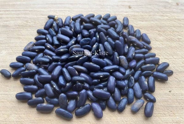 Stangenbohne Sacre Bleu