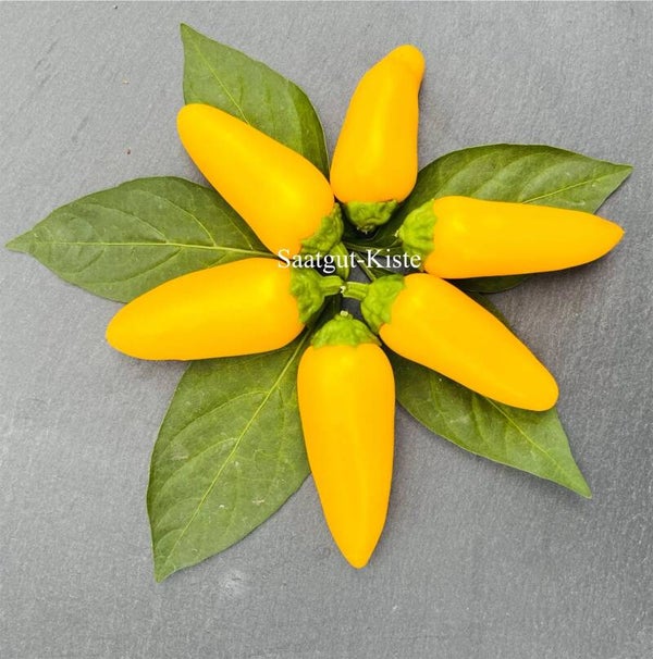 Jalapeno Neon Yellow (Schärfe 4)