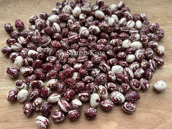 Stangenbohne Good Mother Stellard