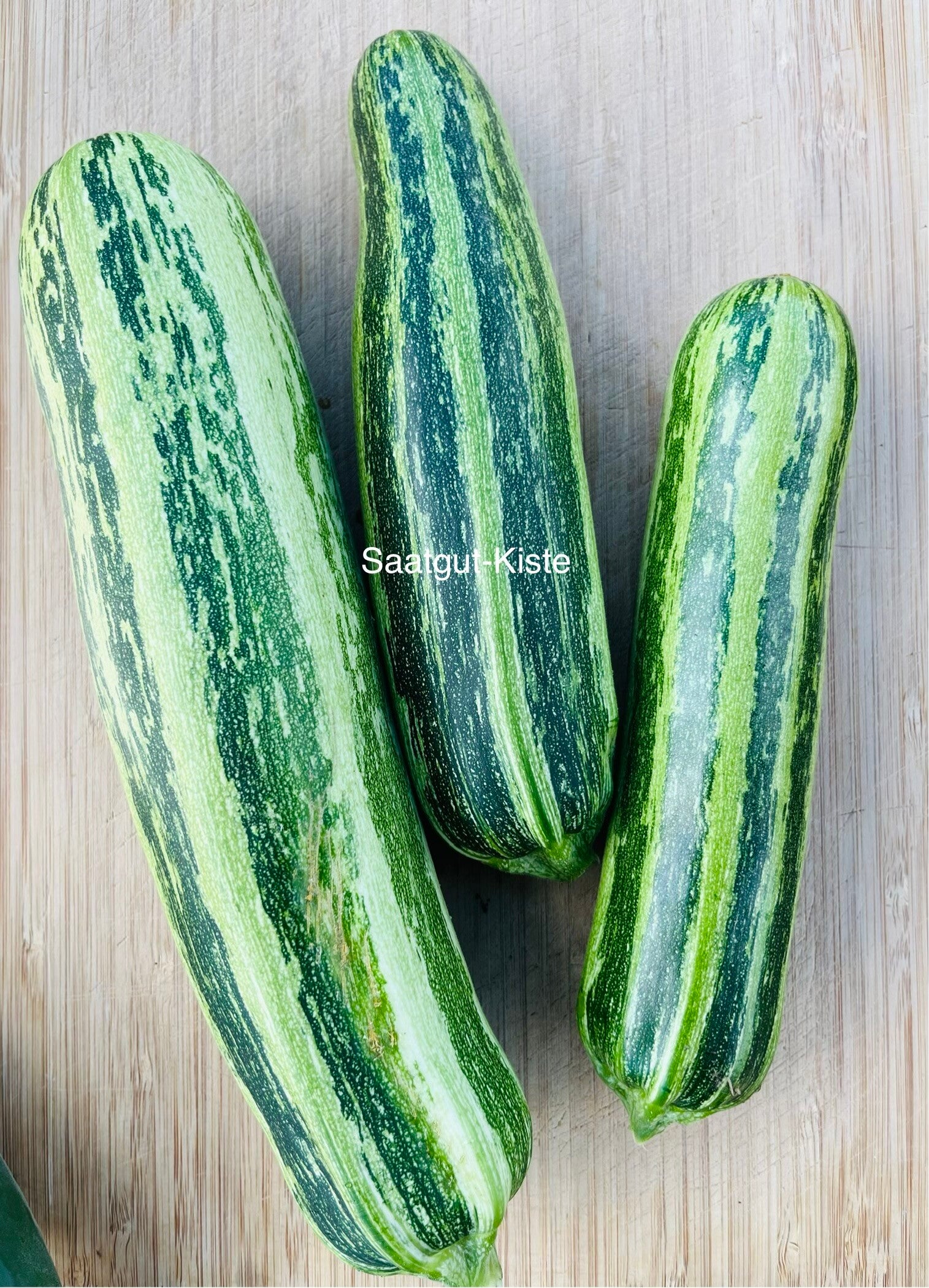 Zucchini Malachita
