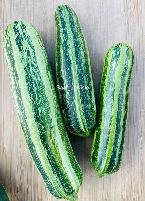 Zucchini Malachita