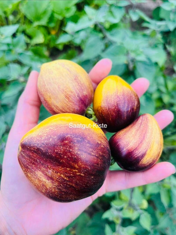 Tomate Very Sweet Blues