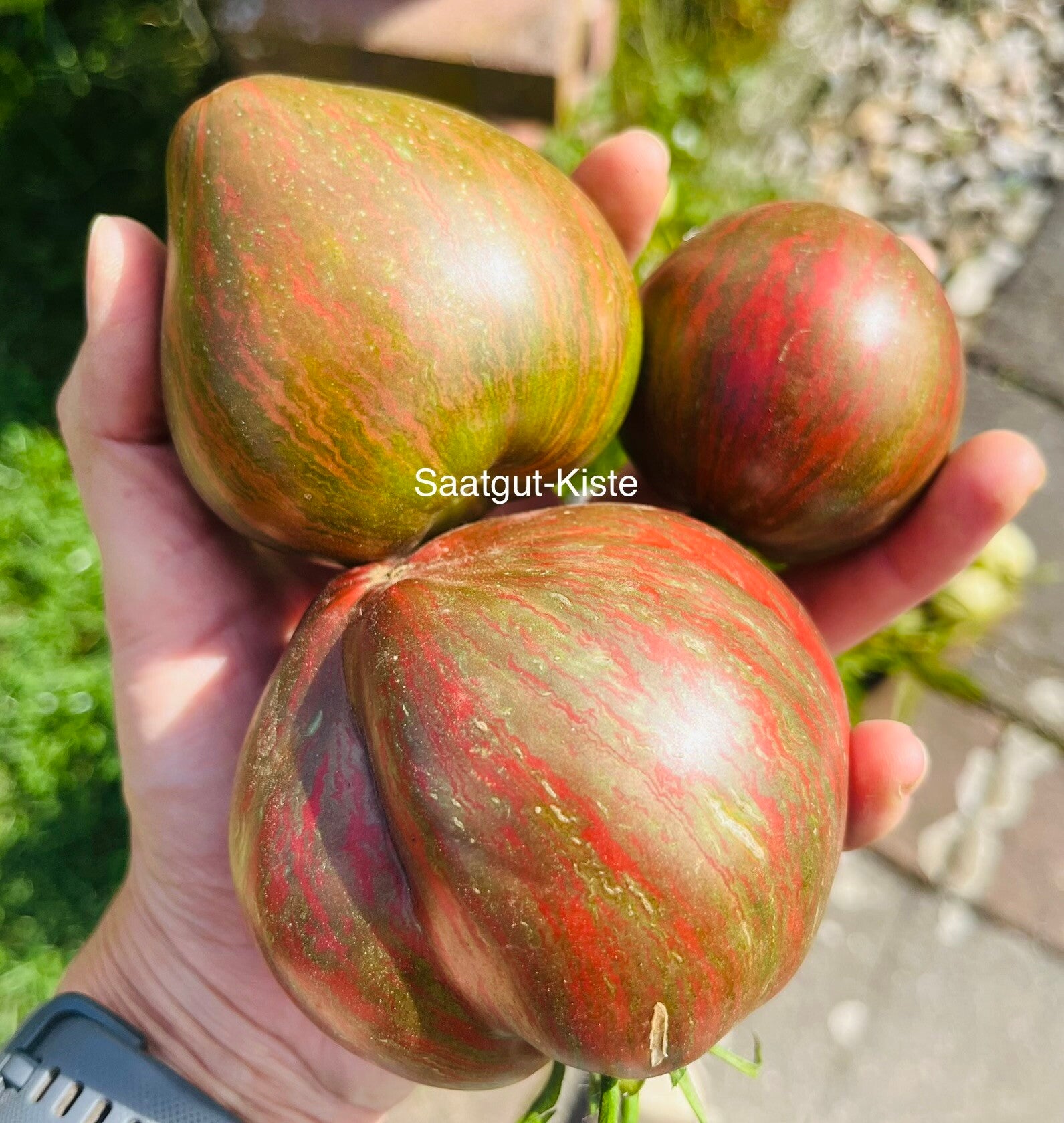 Tomate Rebel Starfighter Prime