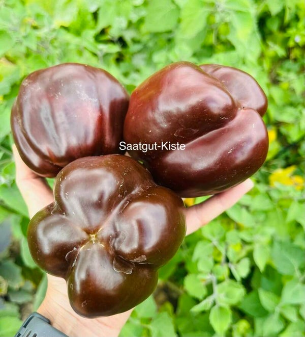Paprika Magic Chocolate
