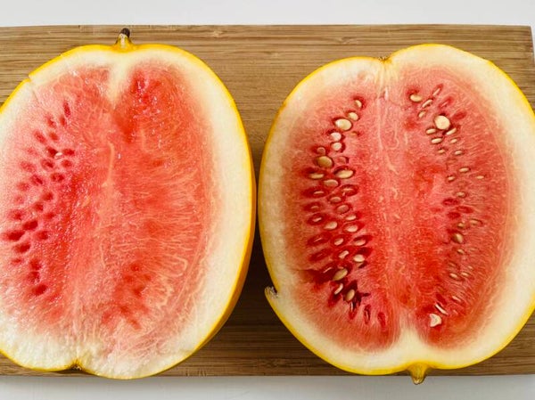 Wassermelone Royale Golden