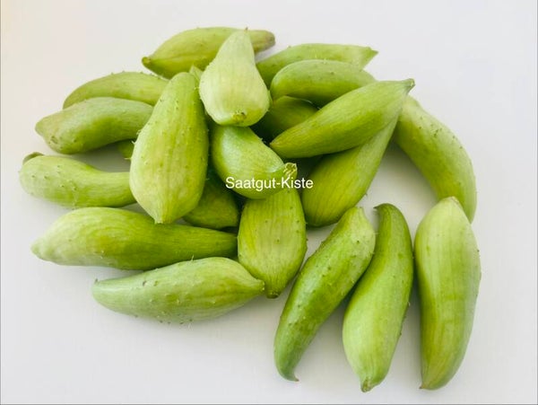 Inka-Gurke