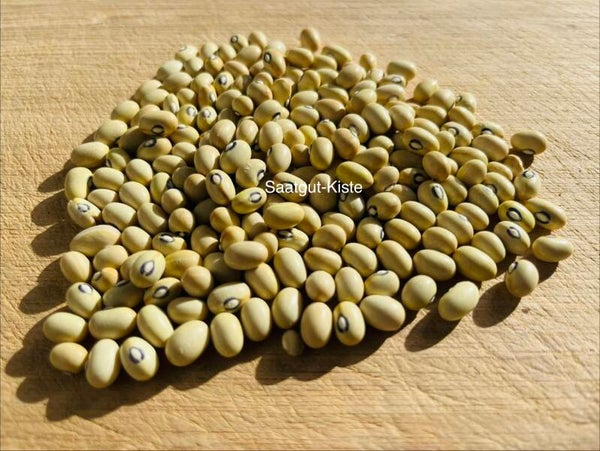 Buschbohne Citronenbontjes