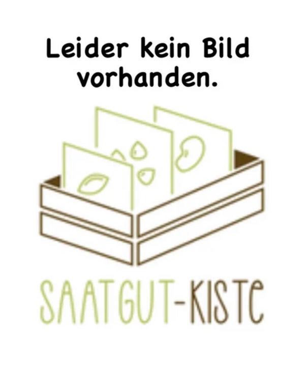 Aubergine Applegreen