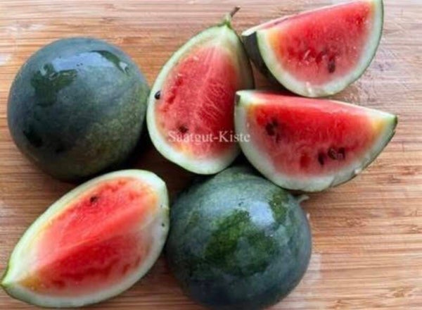 Wassermelone Blacktail Mountain