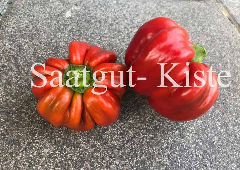 Paprika Gogosar Rosu