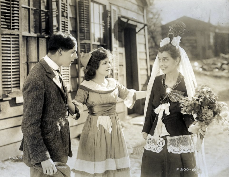 screenshot-2026-08-31-at-11-20-53-standard-bc0v3n.png