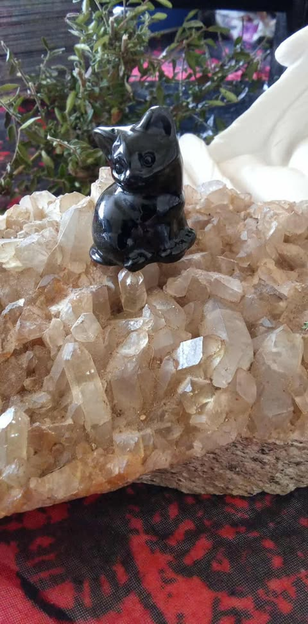 Chat en Obsidienne Naturelle