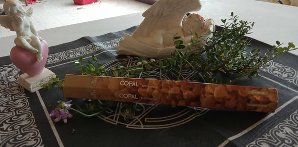 Encen copal hexa 20g