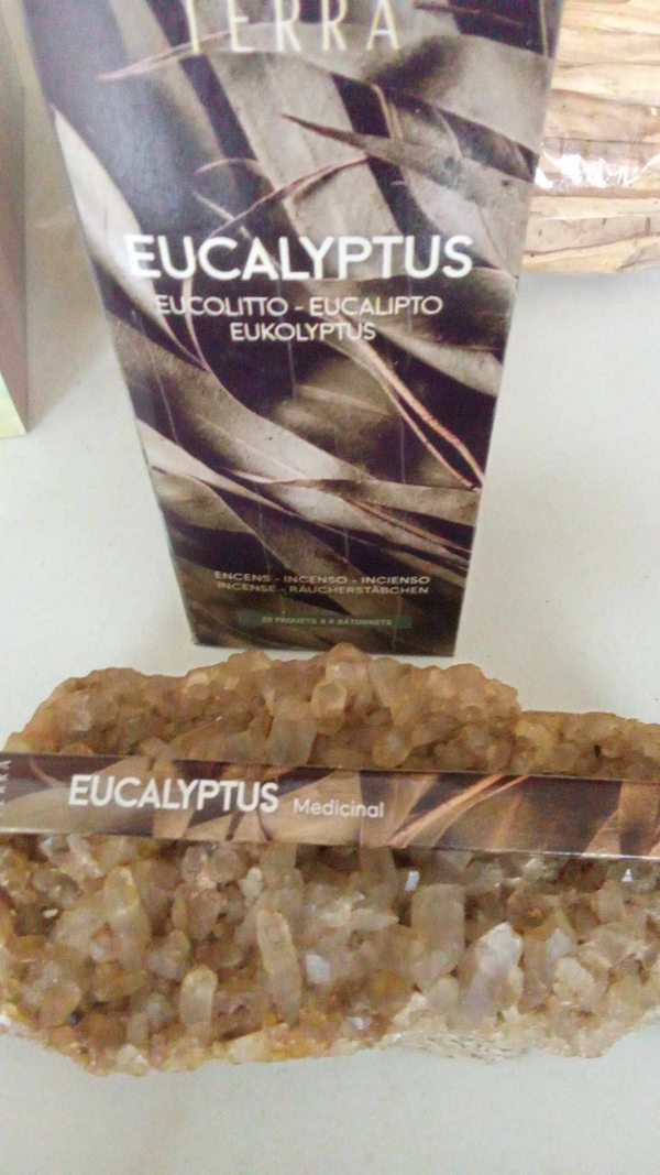 Encens TERRA Eucalyptus sans charbon