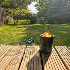 20250815_110515-standard.jpg