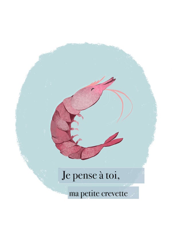 Carte « Crevette »