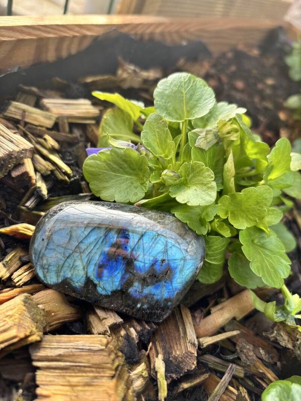Labradorite
