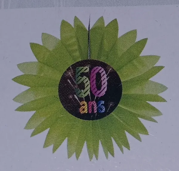 Eventail "50 ans" vert