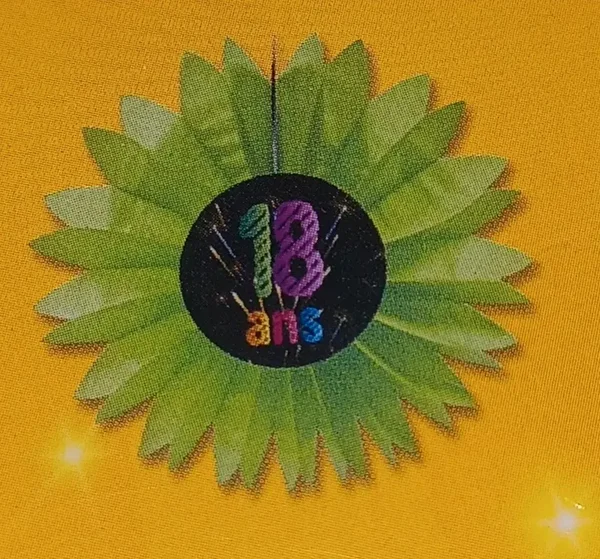 Eventail papier "18 ans" vert