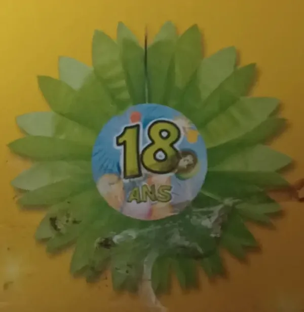 Eventail "18 ans" vert