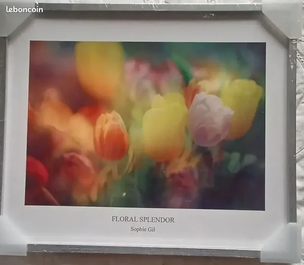Cadre vitrine FLORAL SPLENDOR