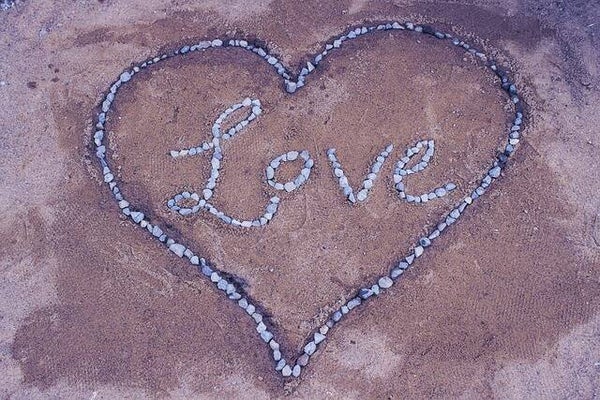12-Grief Support Package (Virtual or In-Person)