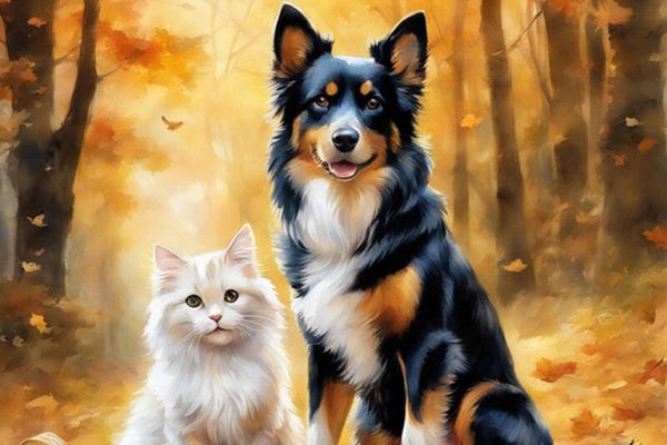 Distance Reiki Healing for Pets