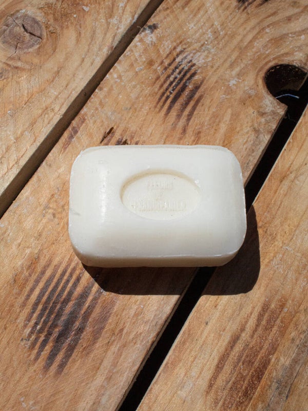 Fleur de frangipanier