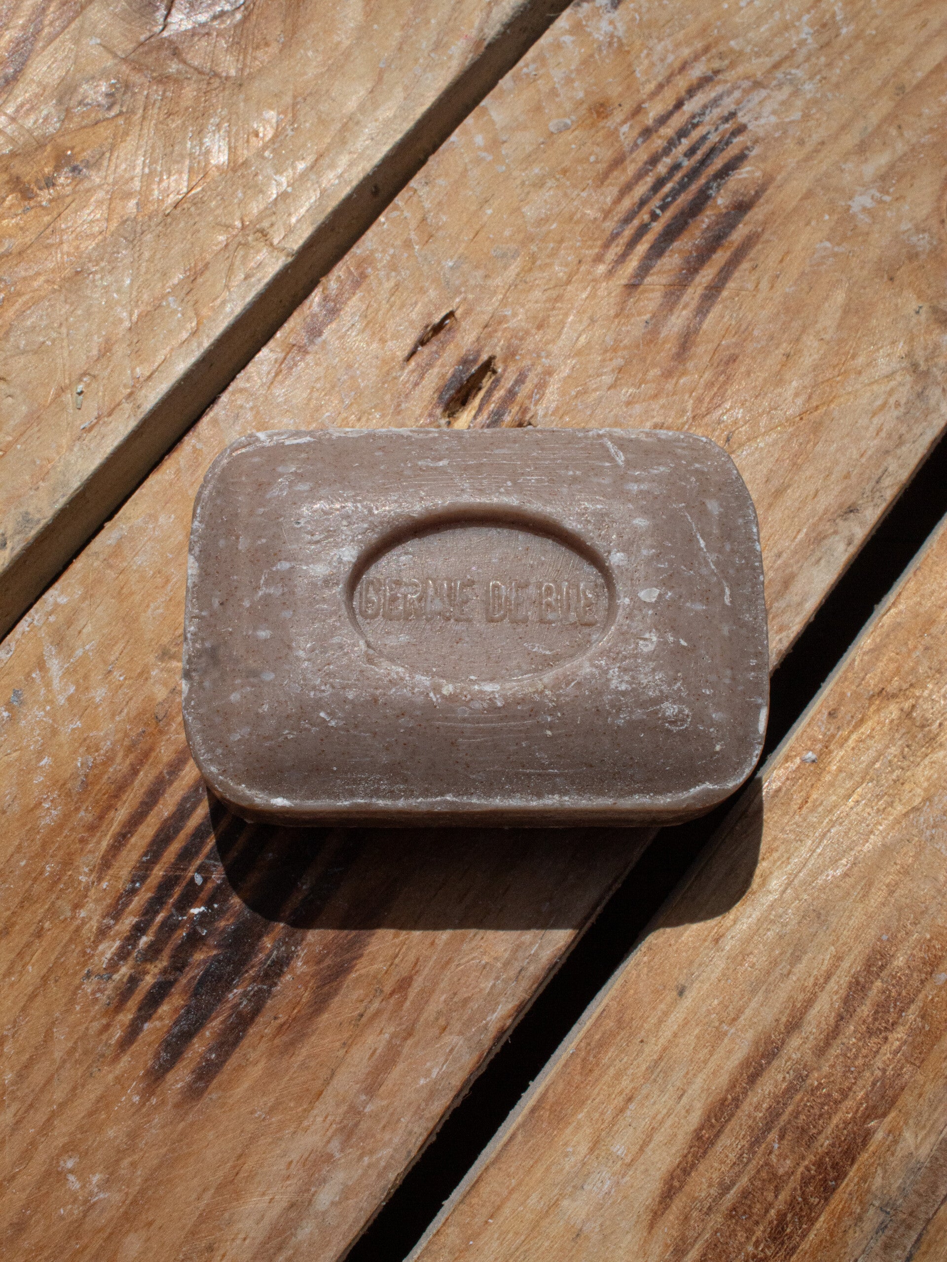Germe de blé
