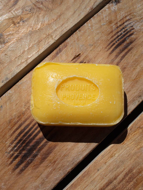 Mimosa