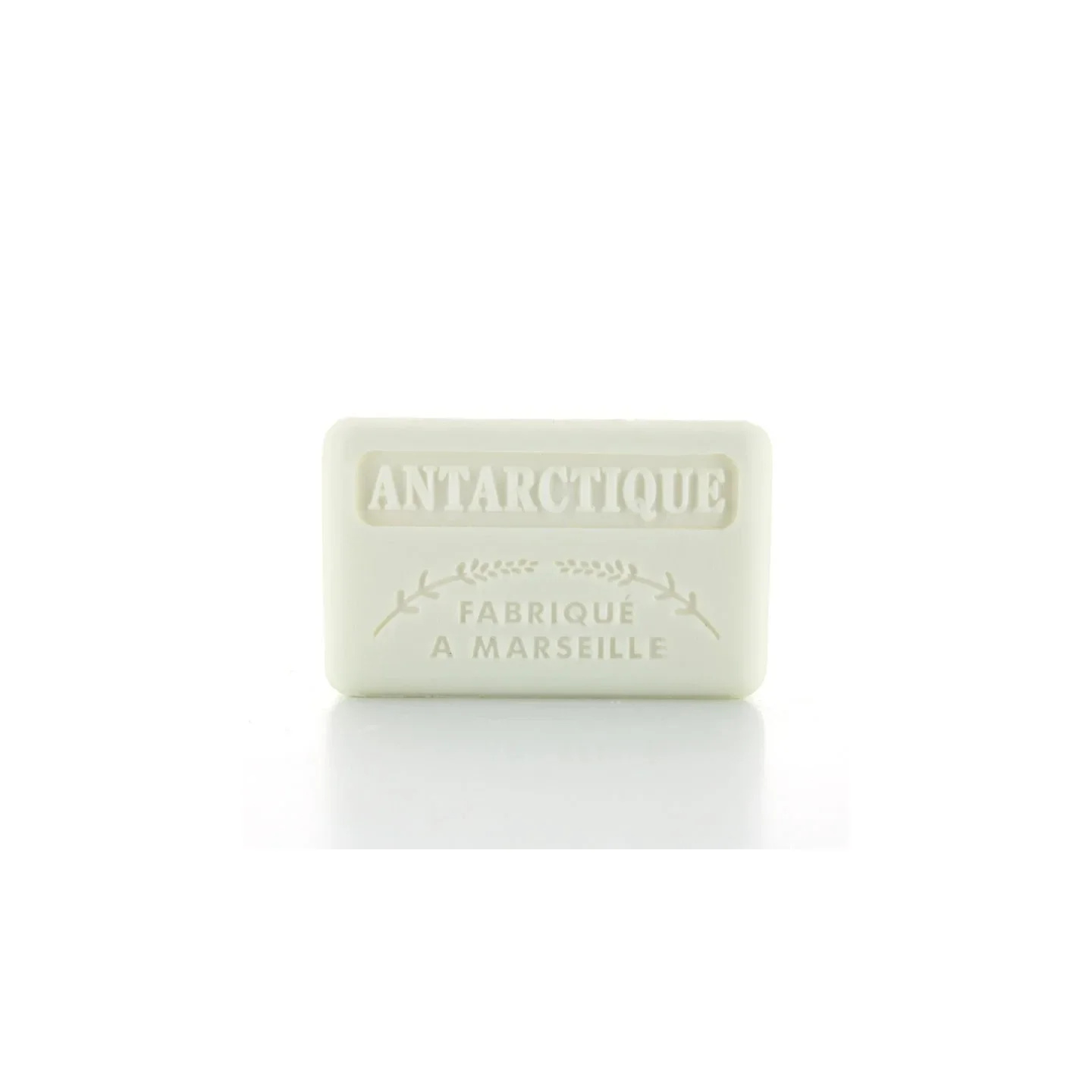 Antartique