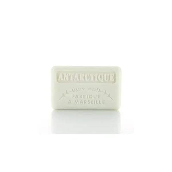 Antartique