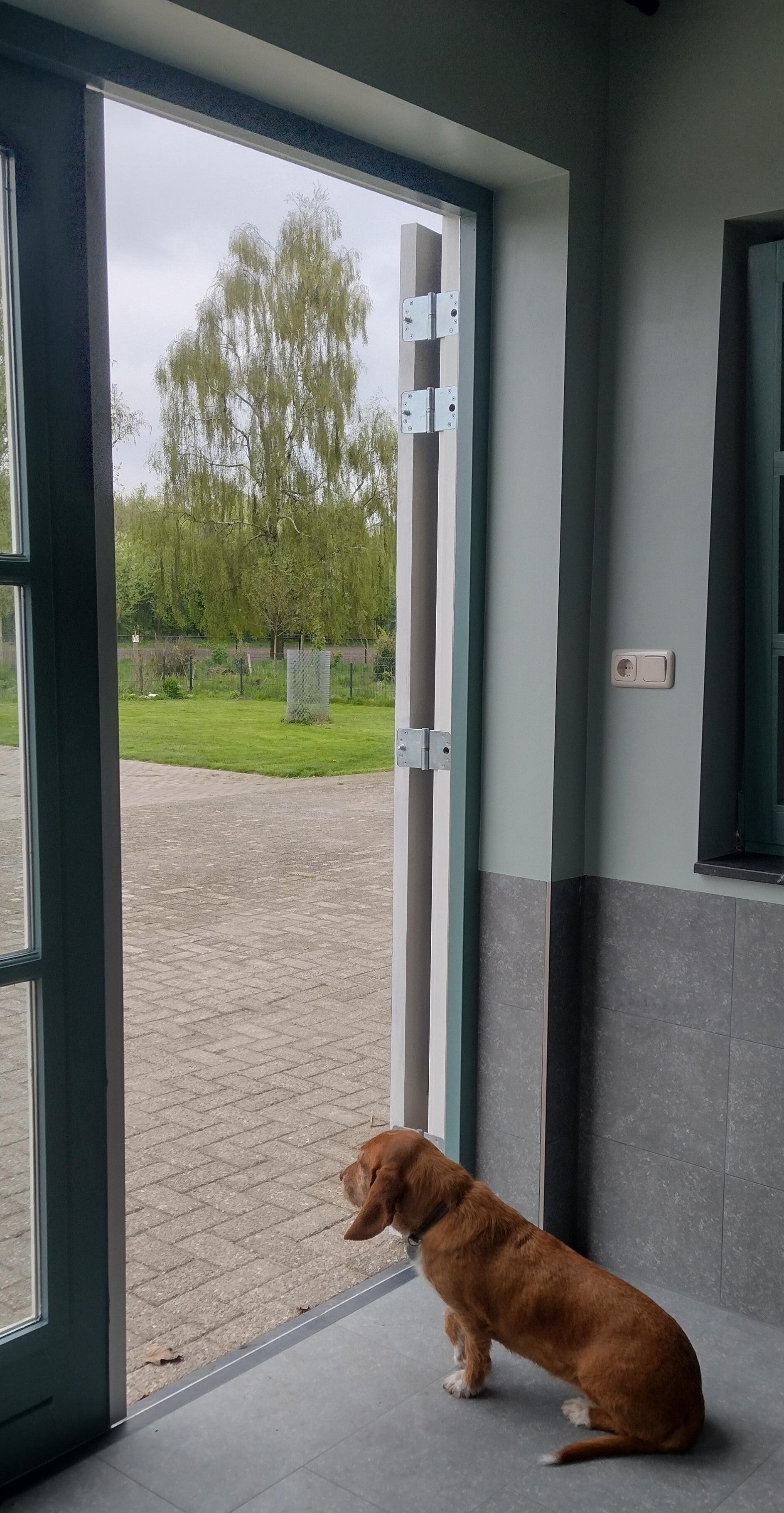 Hondenthuis buitengewoon