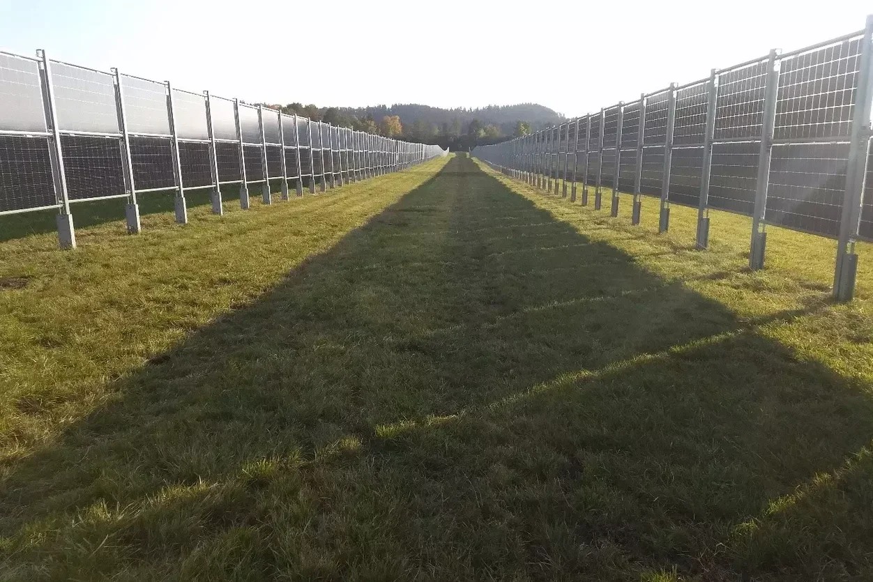 Agri-PV mit senkrechter Modulaufstellung und landwirtschaftlicher Fläche