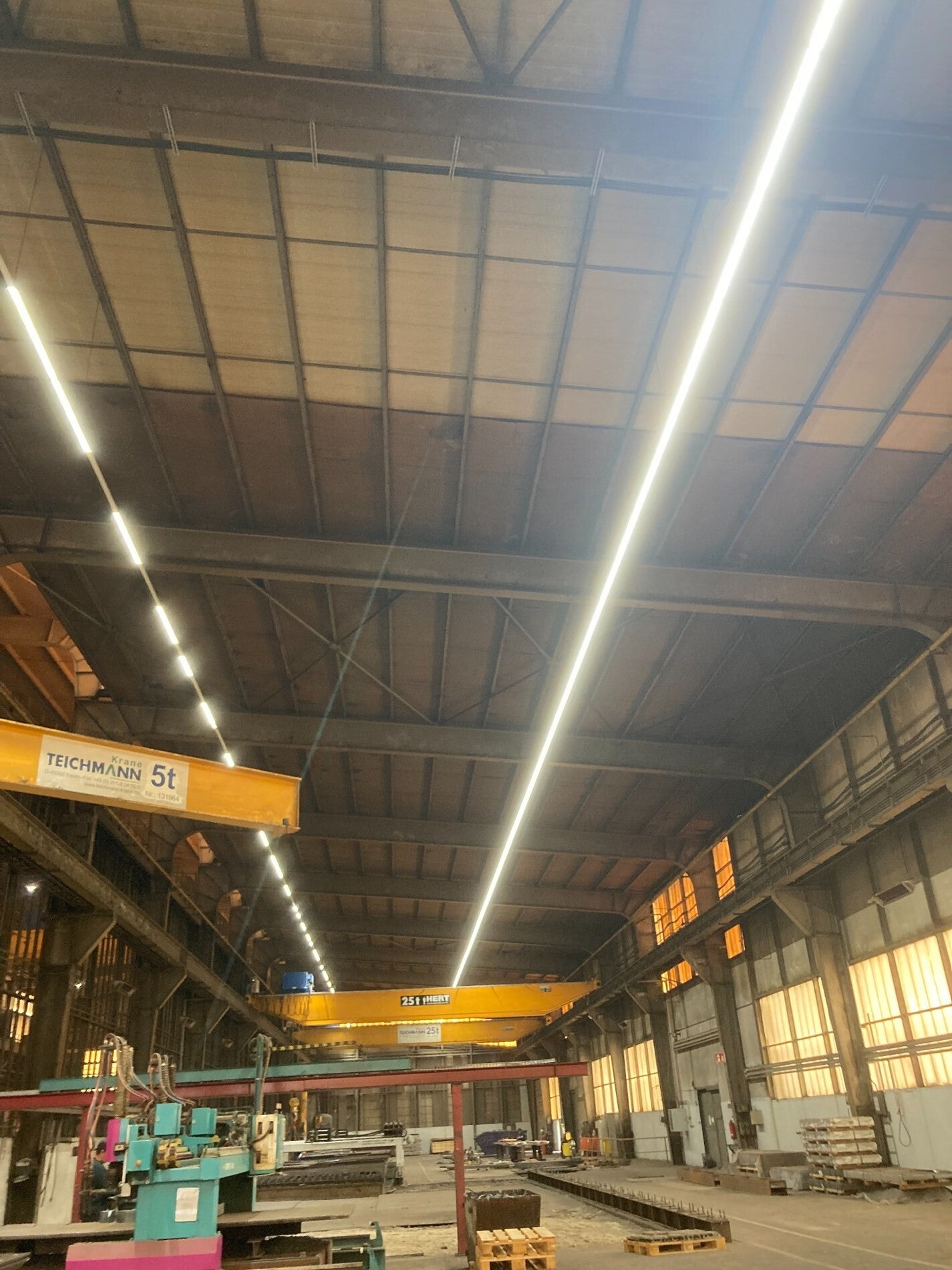 led-11-standard.jpg