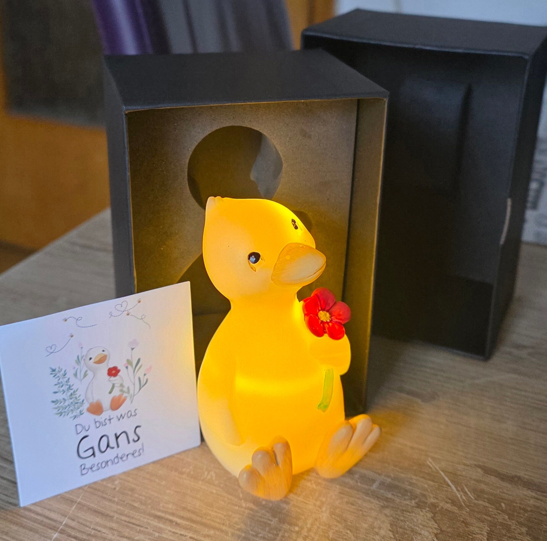 LED Geschenkeset "Gans Berta"