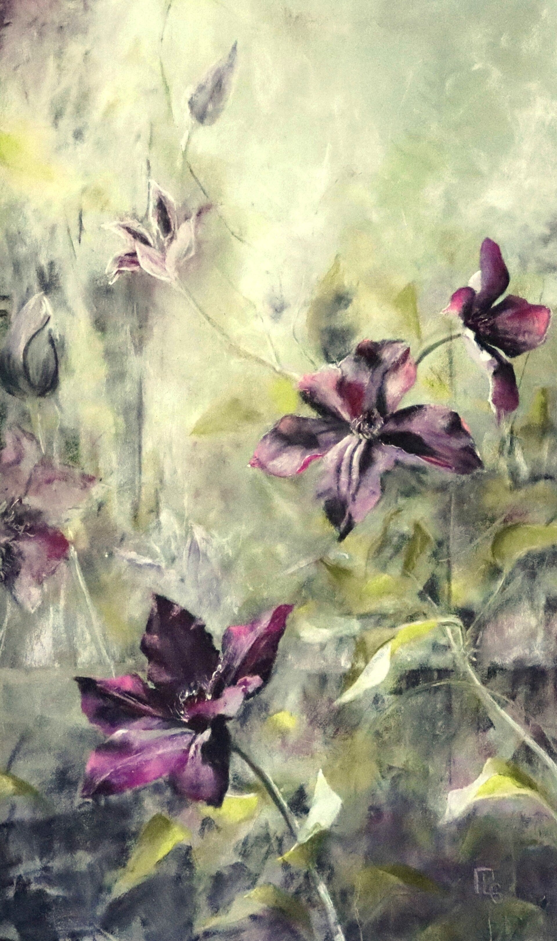 Clématites 50x30 cm 500€