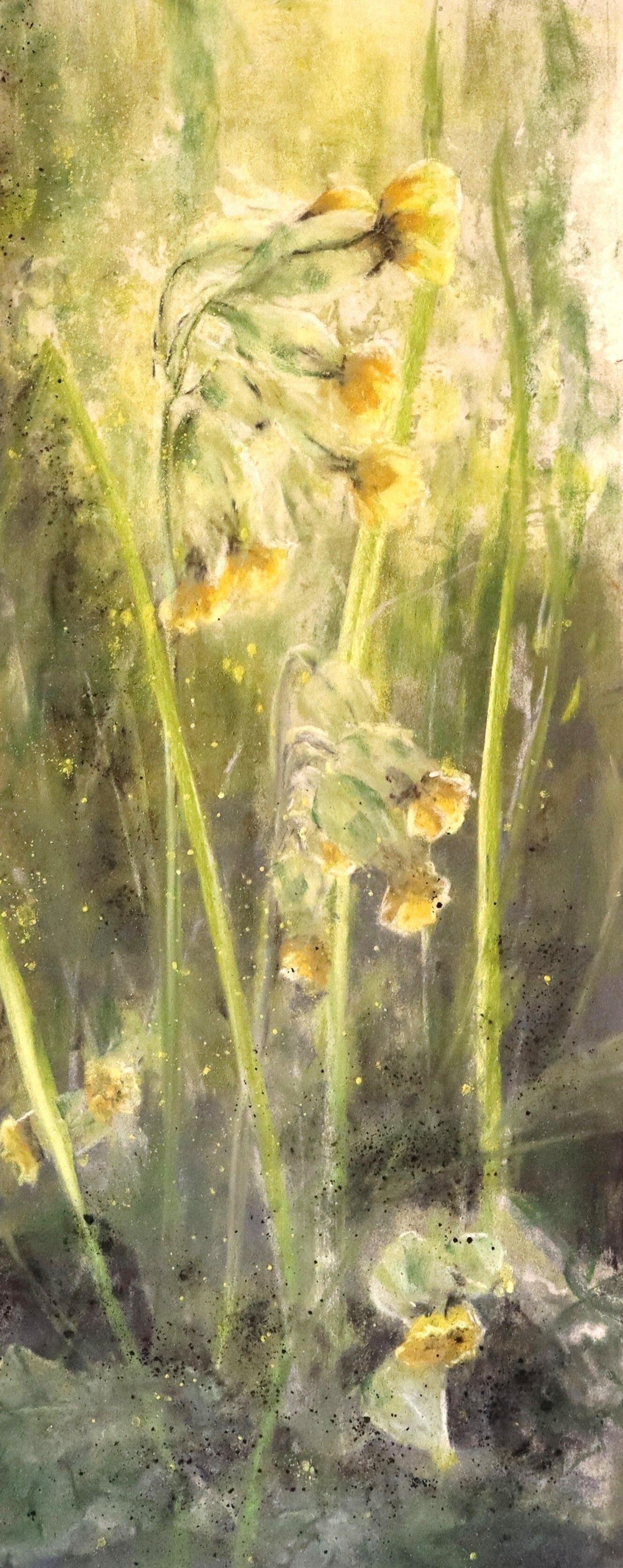 Coucous, pastel 20x50cm, 370€