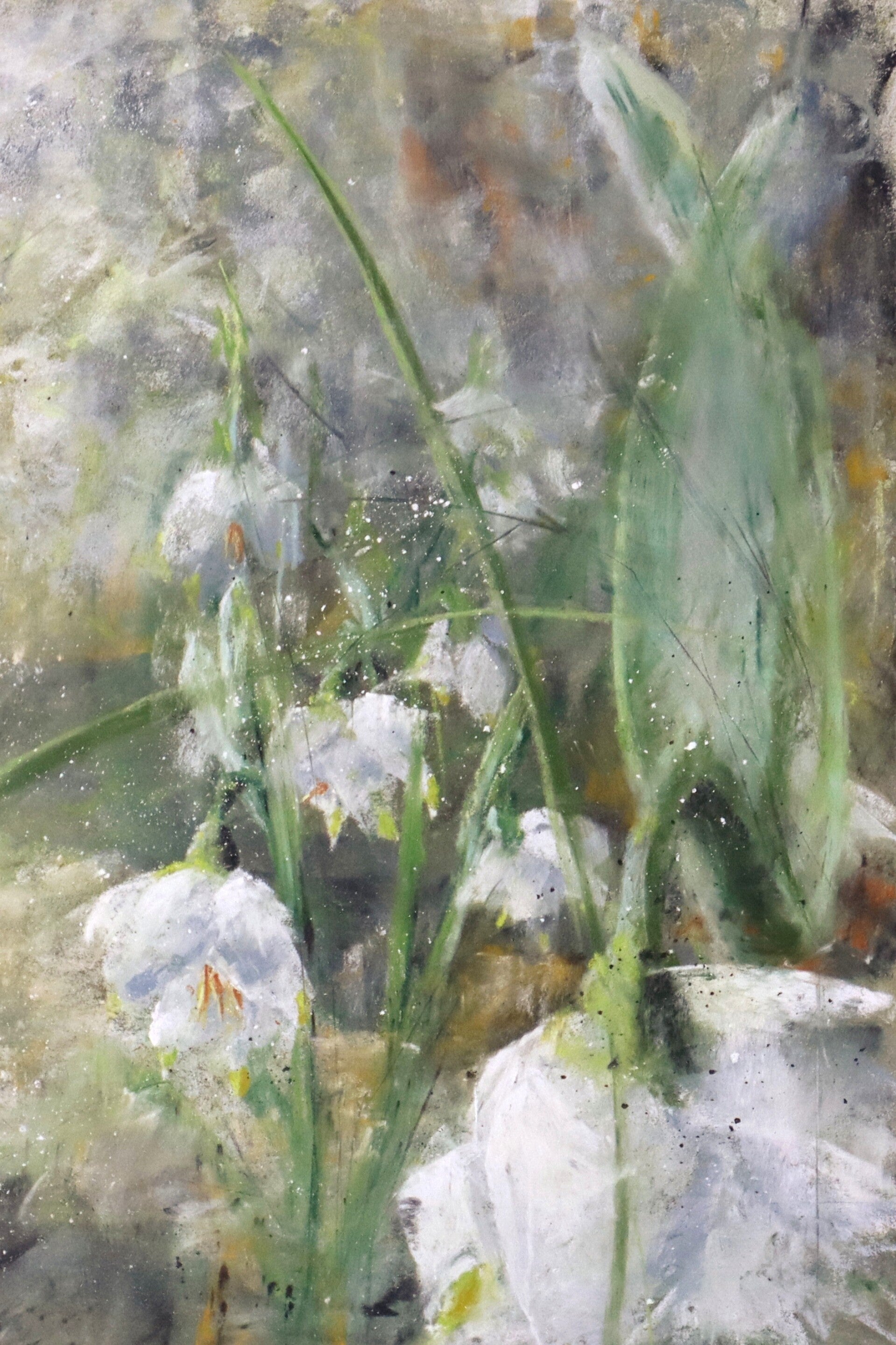 Nivéoles, pastel 30x20 cm, 310 €