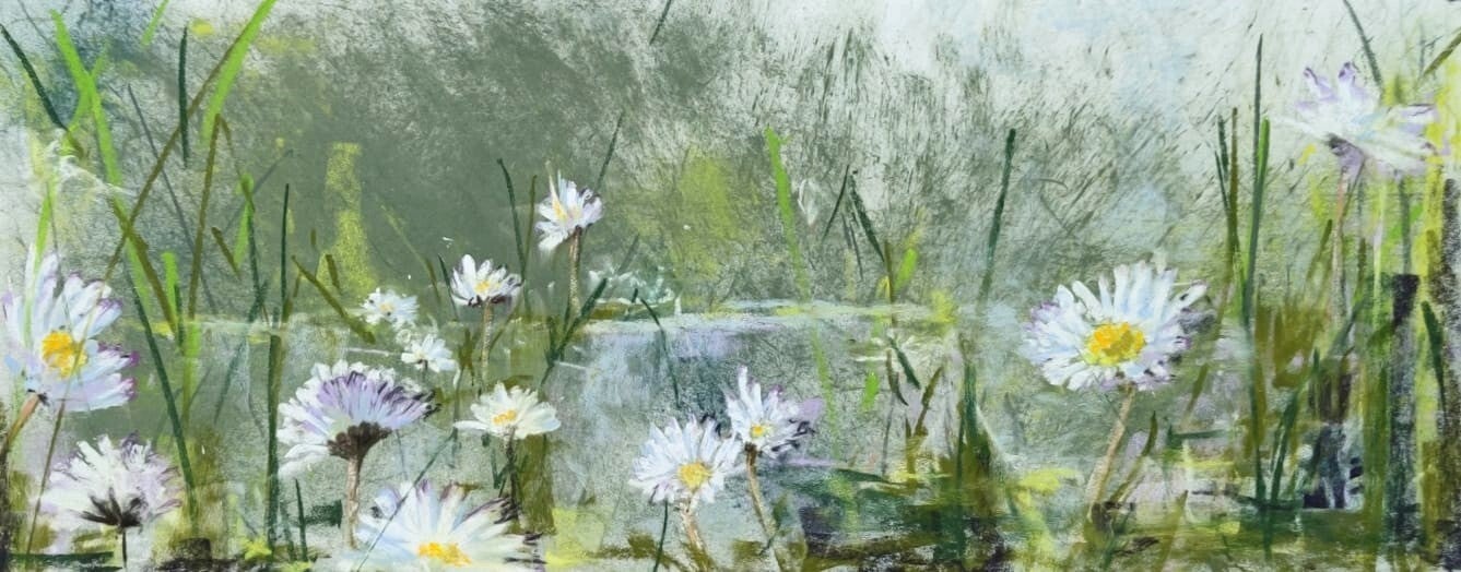 Pâquerettes, pastel 20x50cm, 370€